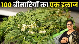 पेड़ नहीं औषधि है  बाल झड़नाबीपीशुगरमोटापा  सबका 1 ही रामबाण इलाज  3 New Winter Recipe [upl. by Jeane]