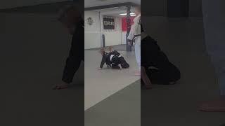 Little Chimps Jiujitsu Rolling [upl. by Nevin184]