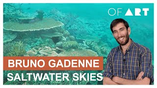 Bruno Gadenne  Saltwater Skies  OF ART [upl. by Lybis293]