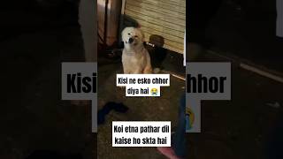 Dog abandoned crying for owner 😭🐶 trandingshorts dog pets labrador viralreels animals shorts [upl. by Teagan]