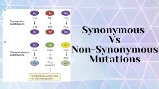 Synonymous vs NonSynonymous mutations [upl. by Fosque]