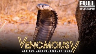 Africa’s Most Venomous Snakes The Venomous 5  2021 Full Documentary [upl. by Lenehc]