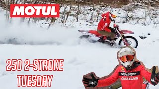 TWO STROKE TUESDAY 2024 GASGAS MC250 FULL DEMO amp REVIEW FULL SEND IN 4K [upl. by Refiffej888]