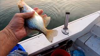 Crappie are on fire Sayer Lake Pennsylvania fishing [upl. by Monafo]