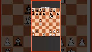 Danish Gambit at its Best  Chess Opening Tricks to WIN Fast [upl. by Blair]