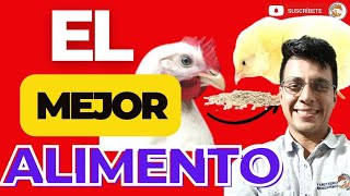 🤯 ¿Cuál es el Mejor ALIMENTO para los POLLOS de Engorde ✍🏼 [upl. by Hersh]