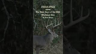 The Best Days of the 2024 Whitetail Rut [upl. by Schwinn]