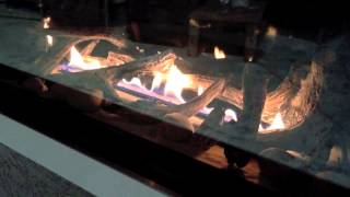 Napoleon LHD45 Burn Video Direct Vent Linear Modern Fireplace [upl. by Meakem]