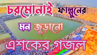 এশকের গজল চরমোনাই 2022  Esker gojol Cormonai [upl. by Gilroy]