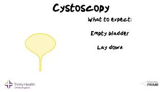 Bladder Cancer What is a Cystoscopy  Dr Grew of Trinity Health Of New England explains [upl. by Gibbons472]