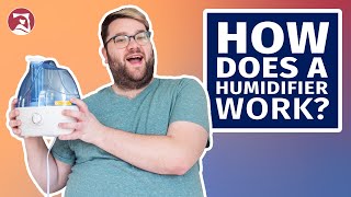 How Does a Humidifier Work [upl. by Cassaundra]