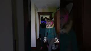 Furry TikTok Hot Dog Remix Dance [upl. by Lasonde]