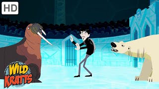 Winter Adventures Part 6  Happy Holidays  Wild Kratts [upl. by Truelove]