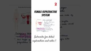 Female Reproductive System  class 12th  NEET  Biocules [upl. by Corrinne]