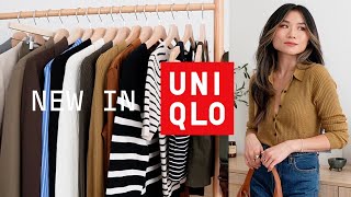 The Best Fall UNIQLO Essentials Right Now  Work amp Casual Fall Haul 2024 [upl. by Adnwahsar]