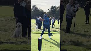 Dog Watches Padraig Harrington Smokes 3 Wood Tee Shot [upl. by Beulah]