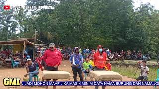 Live Stream LOMBA MERPATI LAPAK RIMBA KEMRANJEN BANYUMAS [upl. by Enyal56]