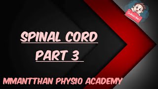 Spinal Cord  Part 3  Ascending Tracts  Origin Course Termination  Neurophysiology  Medical [upl. by Aciret188]