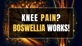 How Boswellia Serrata Supports Joint Health in Knee Osteoarthritis [upl. by Oballa79]