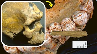 🚨Surprise discovery “fundamentally changes” history of humans and Neanderthals in northwest Europe😁 [upl. by Cyndia]