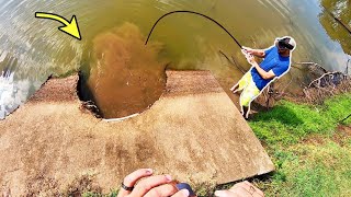 300 LB MONSTER in a STORM DRAIN [upl. by Ivets]