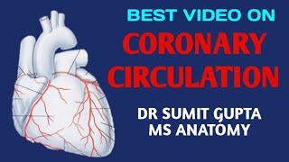 CORONARY CIRCULATION OF HEART [upl. by Esiouqrut472]