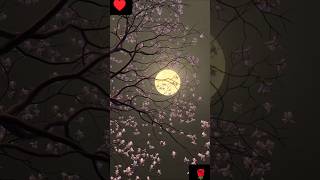 Moonlit night sky ♥️🌹। shorts moon nightsky lovestatus [upl. by Bailey694]