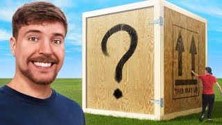 I Bought The Worlds largest Mystery box mrbeast [upl. by Mattox]