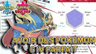 Avoir le Pokémon aux IV PARFAIT grâce aux Capsule Argent et Or  Pokémon Épée et Bouclier [upl. by Norrahs]