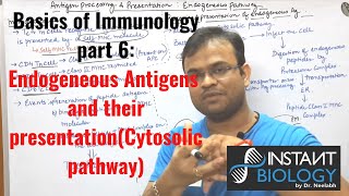 Immunology  MHC I Processing [upl. by Annah]