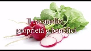 ravanello proprietà e benefici [upl. by Yetti210]