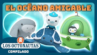 Los Octonautas  🫶 El océano AMIGABLE 🪸  Episodios Completos  Compilado [upl. by Ahselyt]