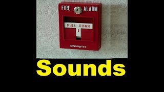 Fire Alarm Sound Effects All Sounds [upl. by Lemmuela647]