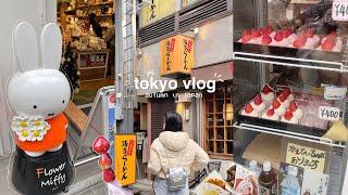 japan vlog 🍥 autumn in tokyo asakusa sensoji temple flower miffy ginza shopping streets udon [upl. by Lail]