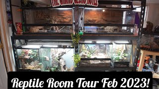 Reptile Room Tour February 2023 Rare and Uncommon Lizards [upl. by Eckardt319]