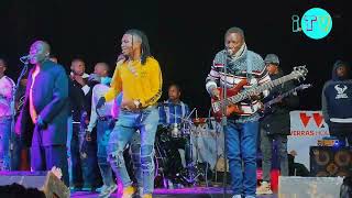 Alick Macheso Latest Song Yakaita mafans waya  Siyanai naye Macheso Hit Song Coming Soon🔥🔥🎸 [upl. by Chadd180]