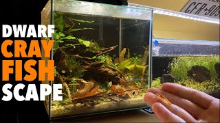 Nano Aquascape For Mexican Dwarf Crayfish and Shrimp [upl. by Dnomad914]