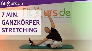 7 Min GanzkörperStretching für zwischendurch [upl. by Morganstein]