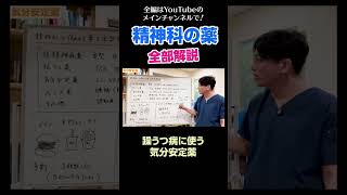 19精神科の薬を全部解説／躁うつ病に使う気分安定薬 [upl. by Ylram]