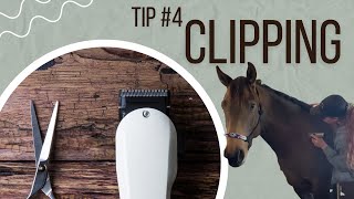 Tip 4  Clipping Tips  Time Lapse  Hold Your Horses [upl. by Karlie156]