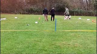 Rally Obedience Turnier beim SG OV Baiersdorf [upl. by Ayekel494]