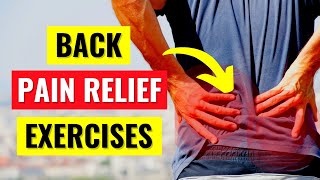 Back Pain Relief Exercises in 5 Min [upl. by Robenia]