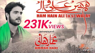 Hum Hain Ali A Walay  ہم ہیں علیؑ والے  Ammar Hani [upl. by Aihsenad]