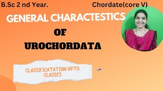 General Characteristics of urochordate bsc 2nd yearclassification of Urochordata3rdsemexam [upl. by Petersen]