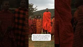 Roaring Past The Maasais Lion Initiation Ritual 🦁🌟 [upl. by Dlorrej]