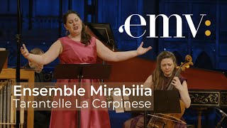 Tarantelle La Carpinese Anon Ensemble Mirabilia live performance  EMV [upl. by Aranat]