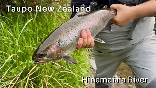 Hinemaiaia River Fly fishing Part 2 [upl. by Oicnedurp28]