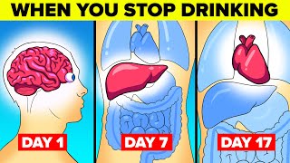 What Happens To Your Body When You Stop Drinking Alcohol [upl. by Noxin]