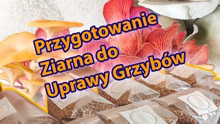 Przygotowanie ziarna do uprawy grzybów Hodowla Grzybów Sterylizacja ziarna do hodowli grzybów [upl. by Mide]