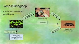 Voedselkringloop  producenten consumenten en reducenten [upl. by Nelhsa]